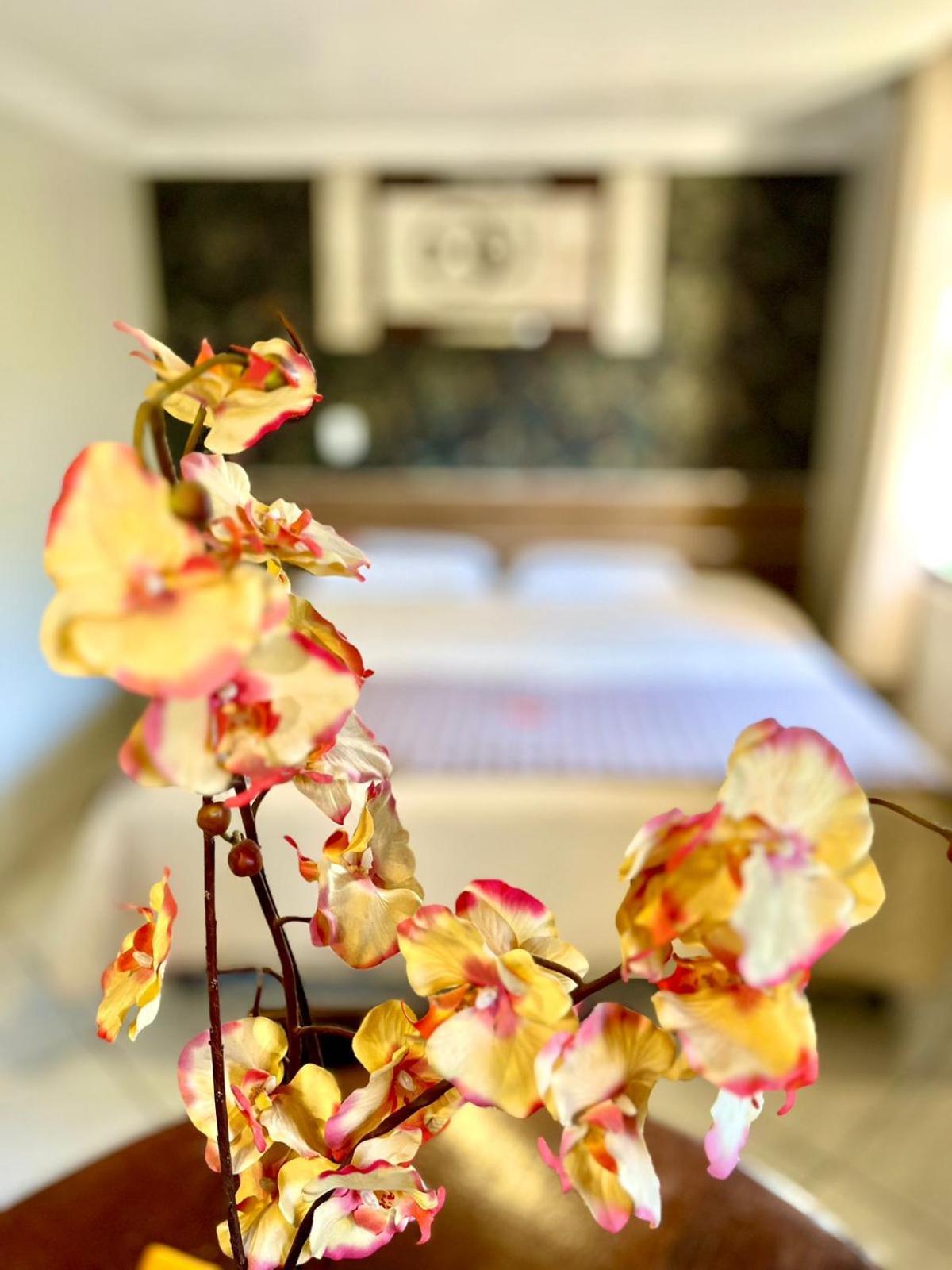 Fenice Hotel